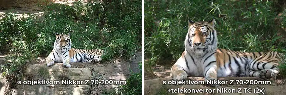 Nikon Telekonvertor Z TC-2.0x